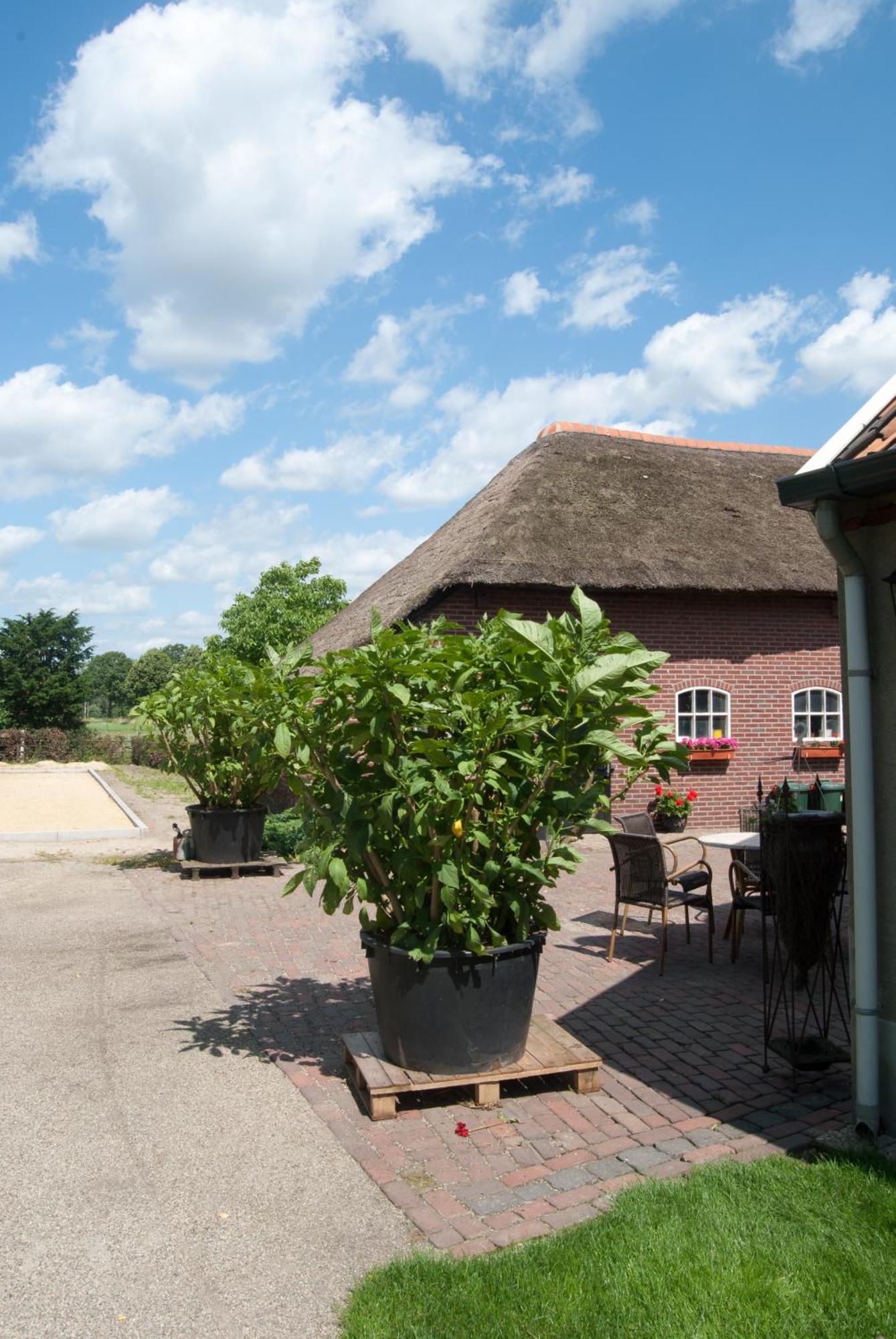 De Martiene Plats - Bed & Breakfast Merselo Exterior photo